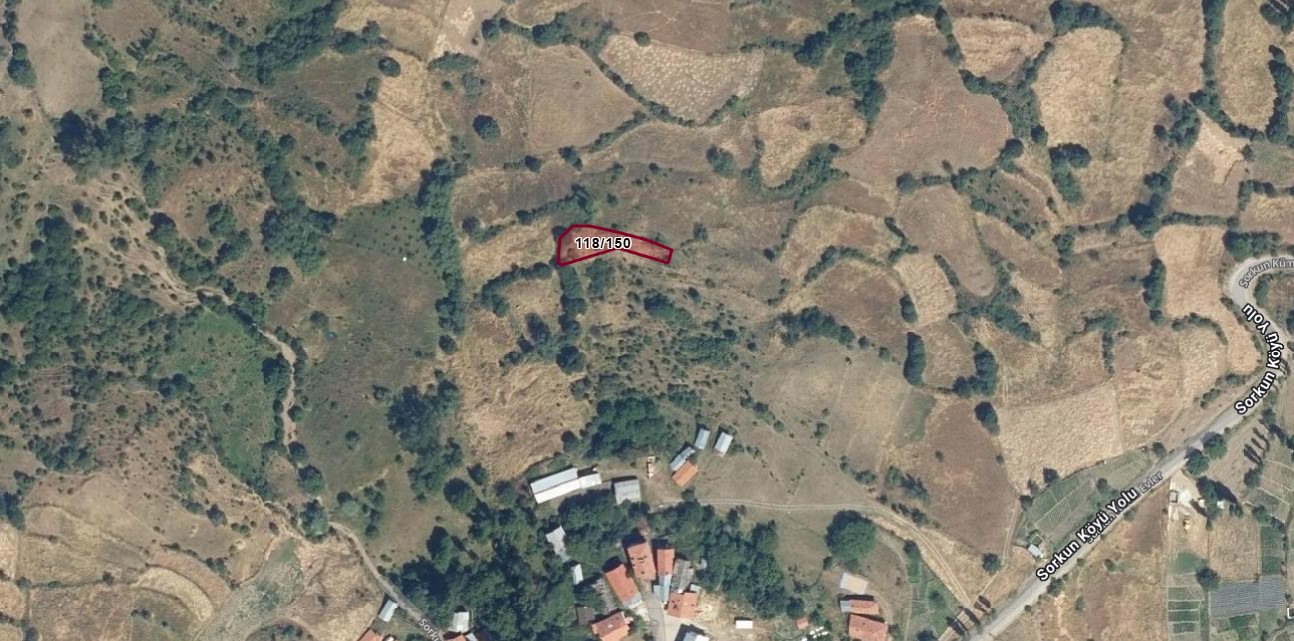 Fotoğraf